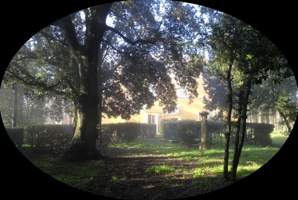 Villa Il Broglino Todi Exterior foto